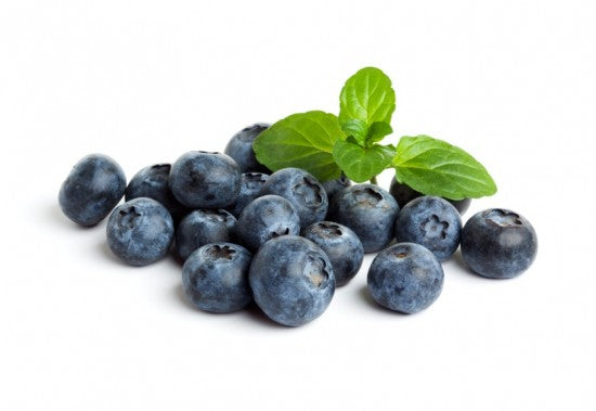 https://nwwildfoods.com/cdn/shop/products/organicblueberriesfp-e1451337858724.jpg?v=1695315078&width=550