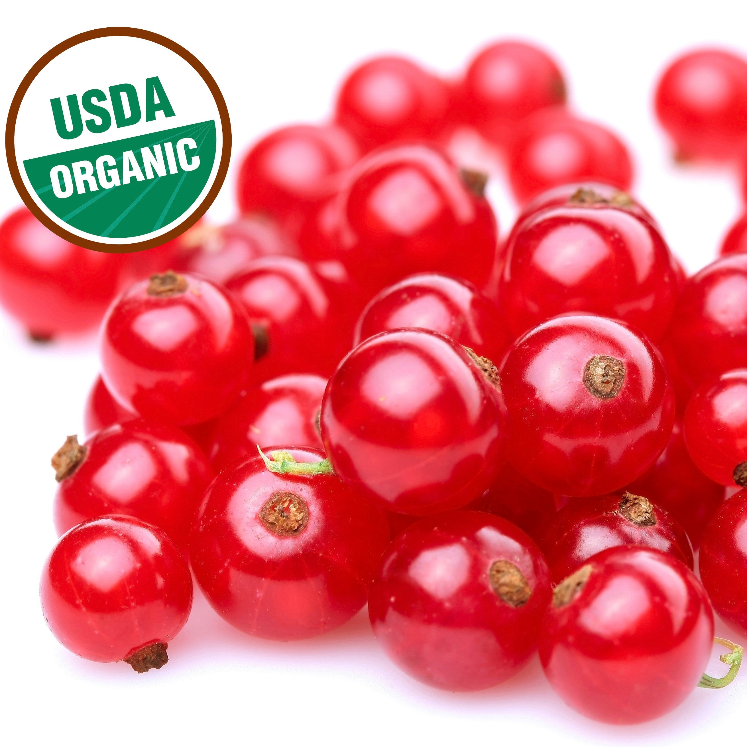 Fresh frozen organic red currants