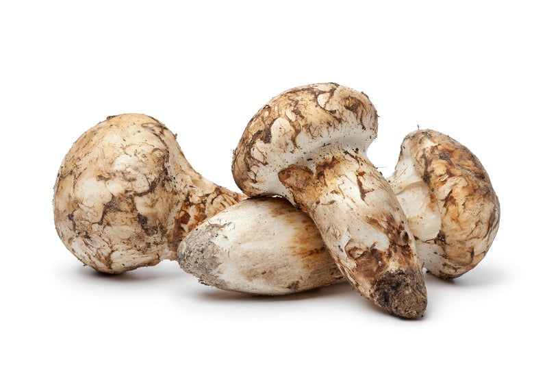 Fresh Frozen Matsutake Mushrooms